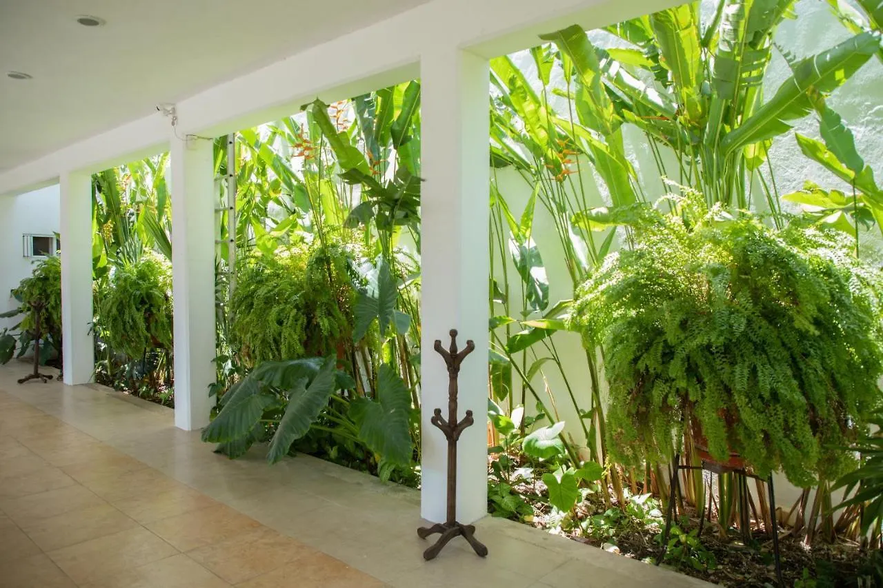 Habitacion Privada Con Alberca Chetumal Apartment